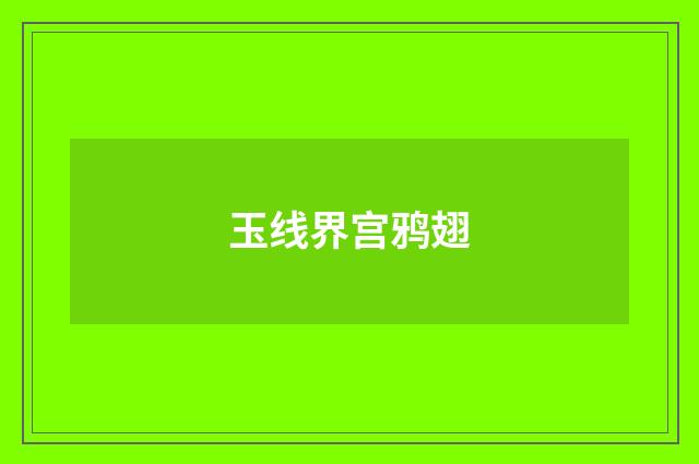 玉线界宫鸦翅