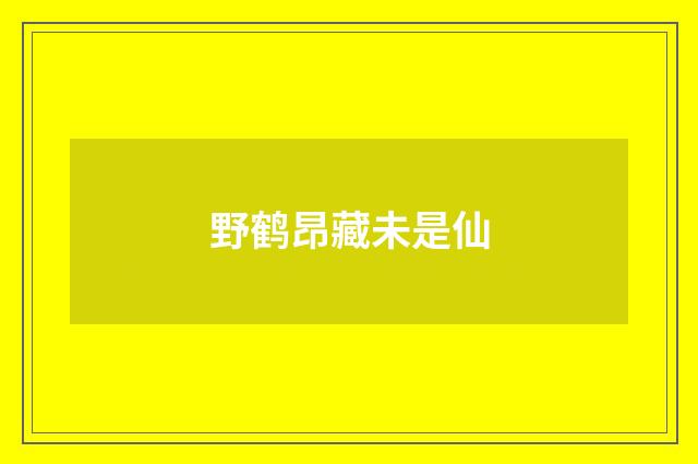 野鹤昂藏未是仙