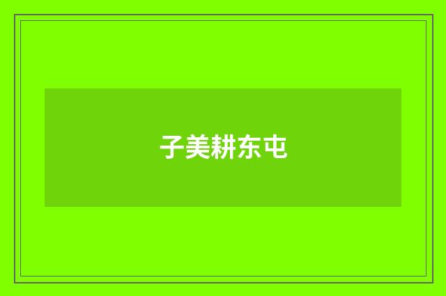 子美耕东屯