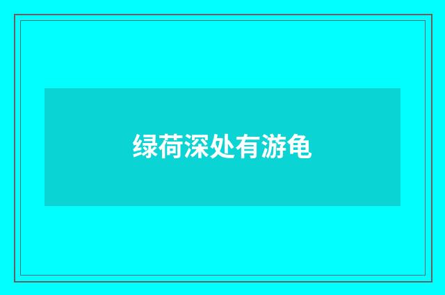 绿荷深处有游龟