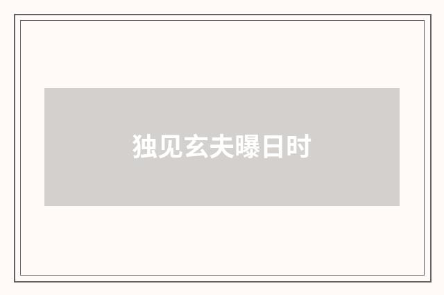 独见玄夫曝日时