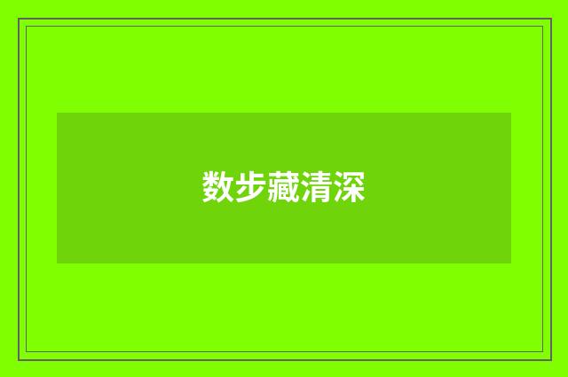 数步藏清深