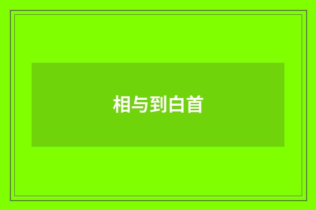 相与到白首
