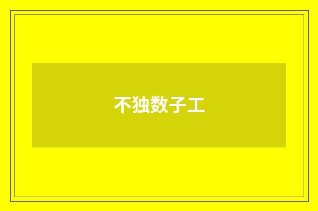 不独数子工