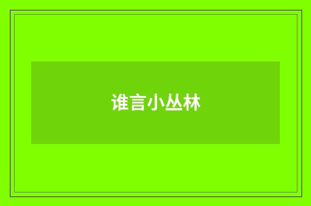 谁言小丛林
