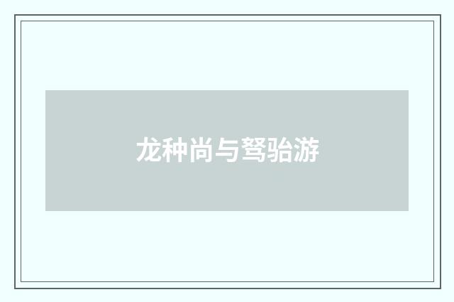 龙种尚与驽骀游