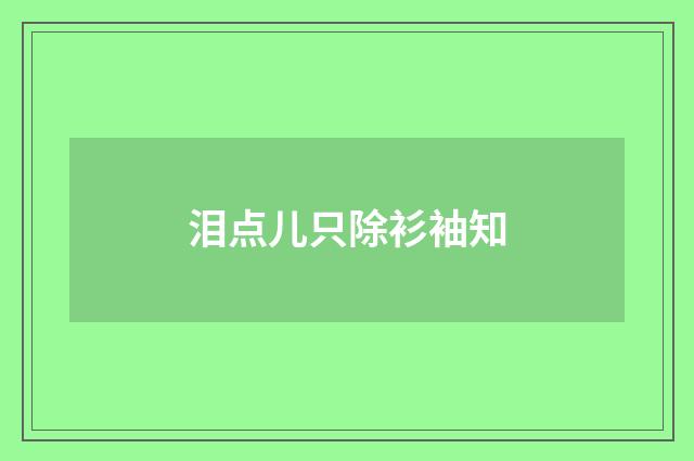 泪点儿只除衫袖知
