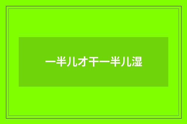 一半儿才干一半儿湿