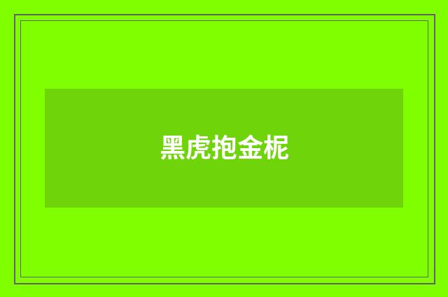 黑虎抱金柅
