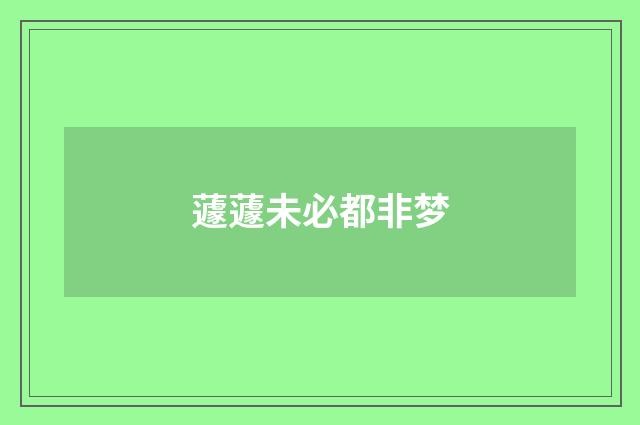 蘧蘧未必都非梦