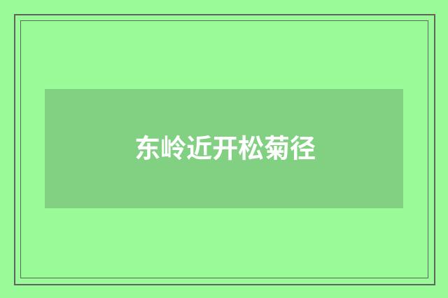 东岭近开松菊径