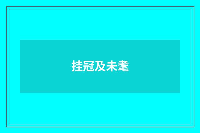 挂冠及未耄
