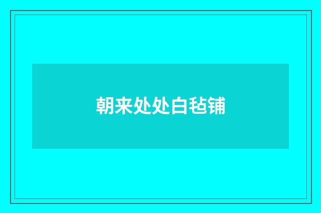 朝来处处白毡铺