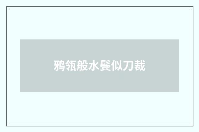 鸦瓴般水鬓似刀裁