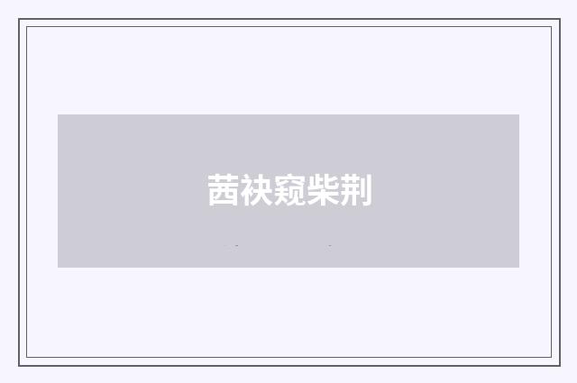 茜袂窥柴荆