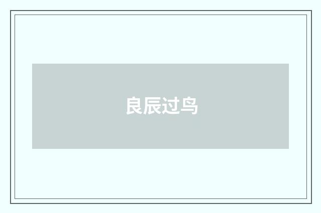 良辰过鸟