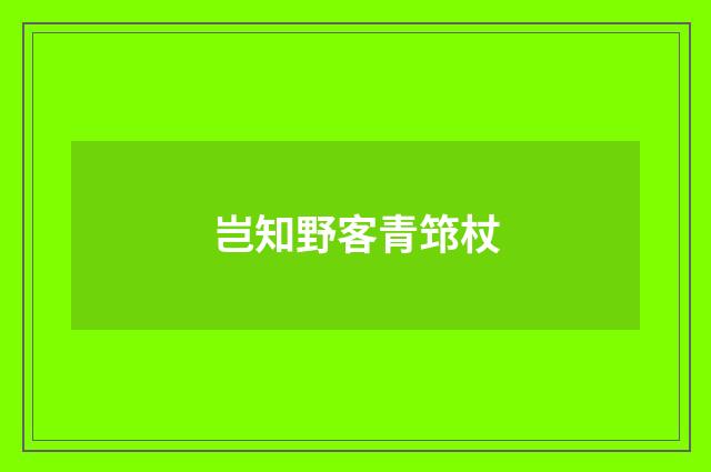 岂知野客青筇杖