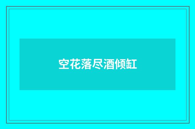 空花落尽酒倾缸