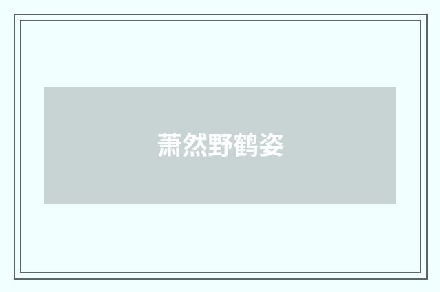萧然野鹤姿