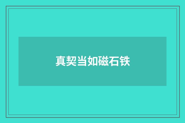 真契当如磁石铁