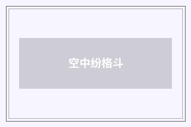 空中纷格斗