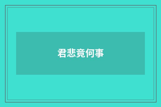 君悲竟何事