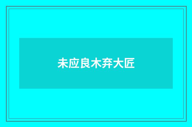 未应良木弃大匠