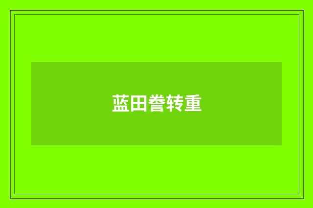 蓝田誊转重