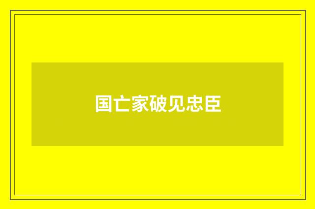 国亡家破见忠臣