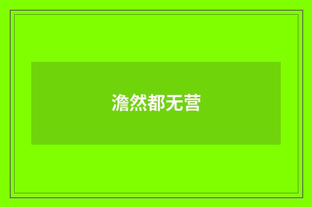 澹然都无营