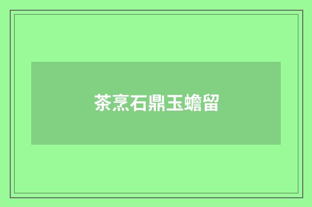茶烹石鼎玉蟾留