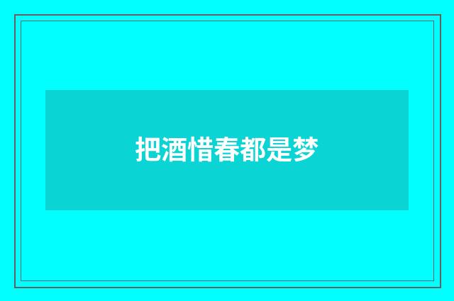 把酒惜春都是梦