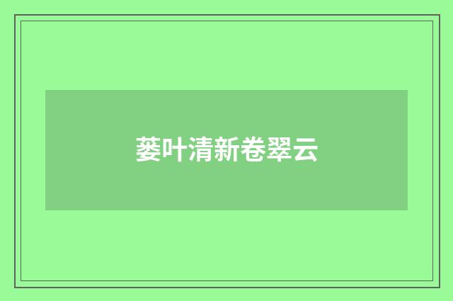 蒌叶清新卷翠云