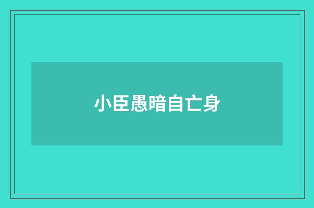 小臣愚暗自亡身