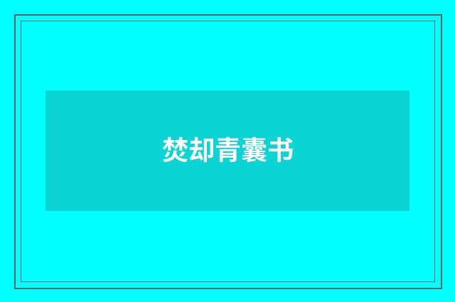 焚却青囊书