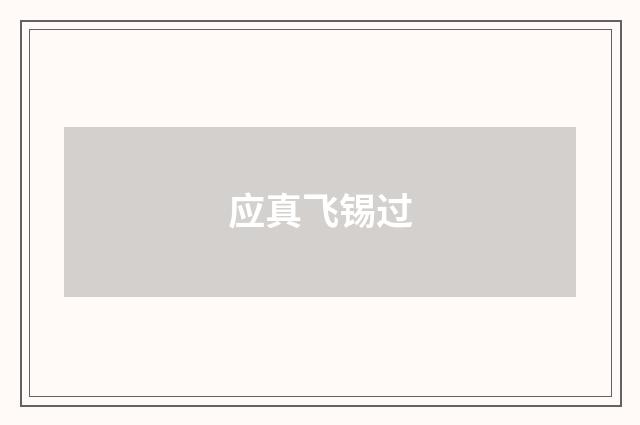 应真飞锡过