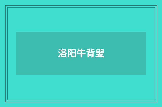 洛阳牛背叟