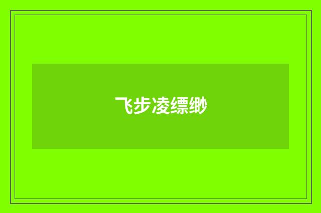 飞步凌缥缈