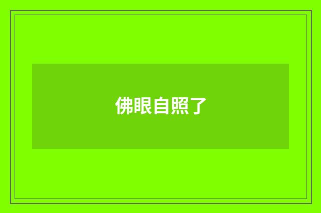 佛眼自照了