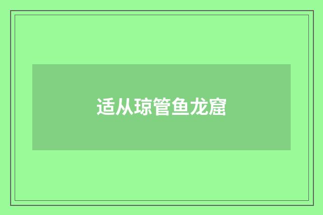 适从琼管鱼龙窟