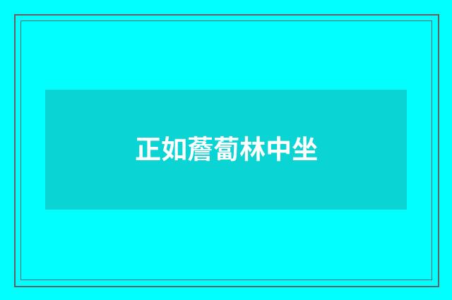 正如薝蔔林中坐