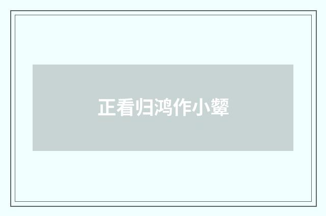 正看归鸿作小颦