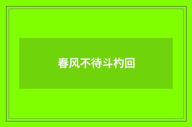 春风不待斗杓回