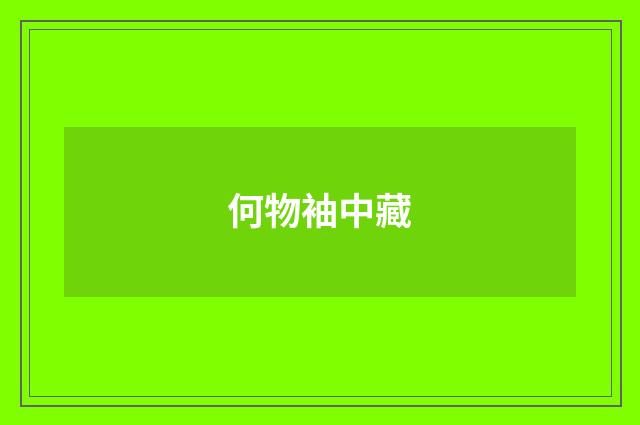 何物袖中藏