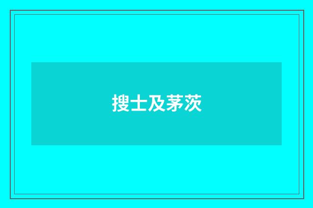 搜士及茅茨