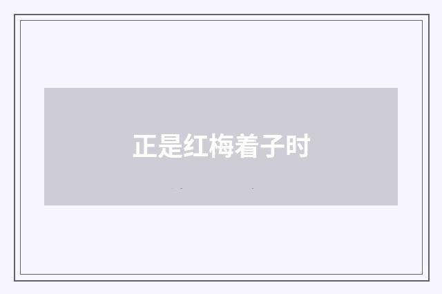 正是红梅着子时