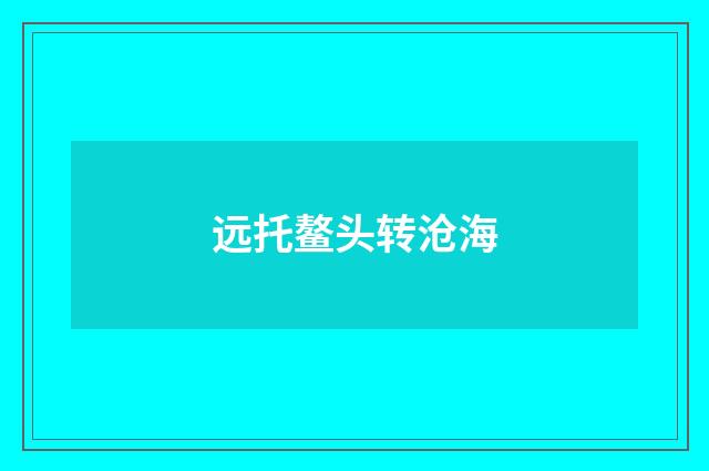 远托鳌头转沧海