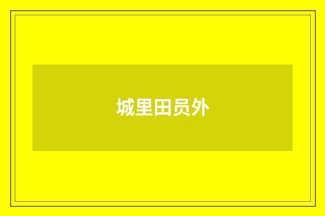 城里田员外
