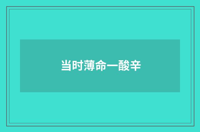 当时薄命一酸辛