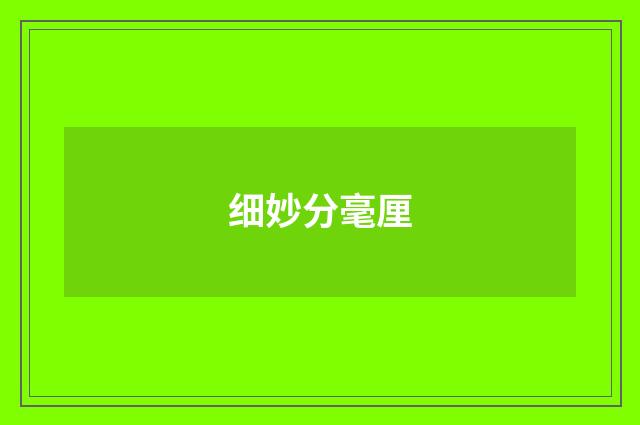 细妙分毫厘
